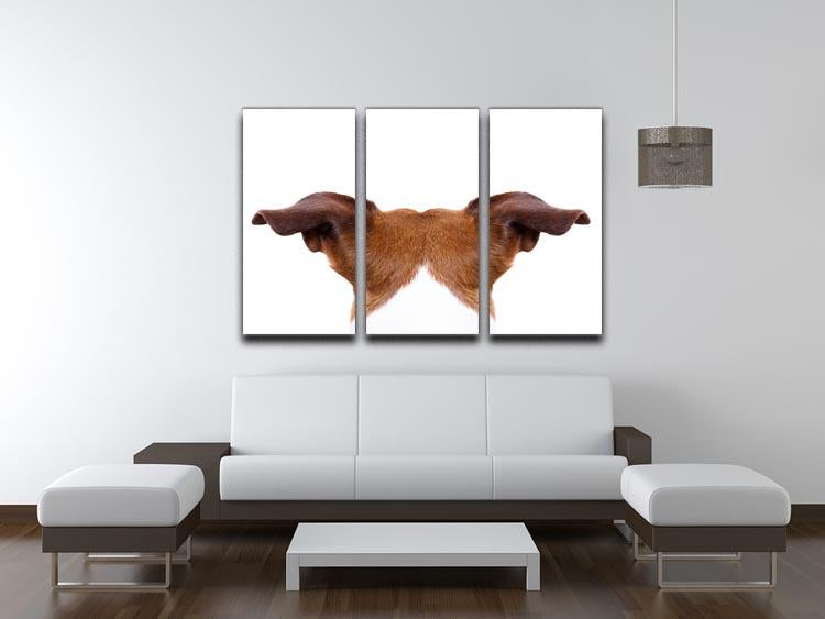 Jack russell dog looking and staring 3 Split Panel Canvas Print - Canvas Art Rocks - 3