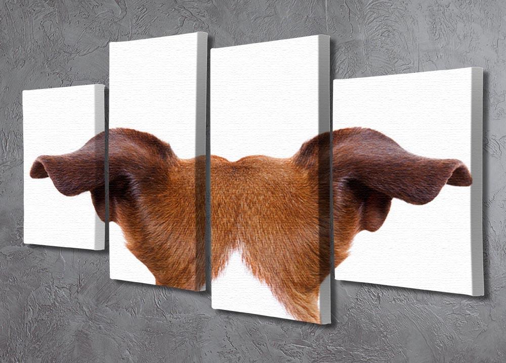 Jack russell dog looking and staring 4 Split Panel Canvas - Canvas Art Rocks - 2