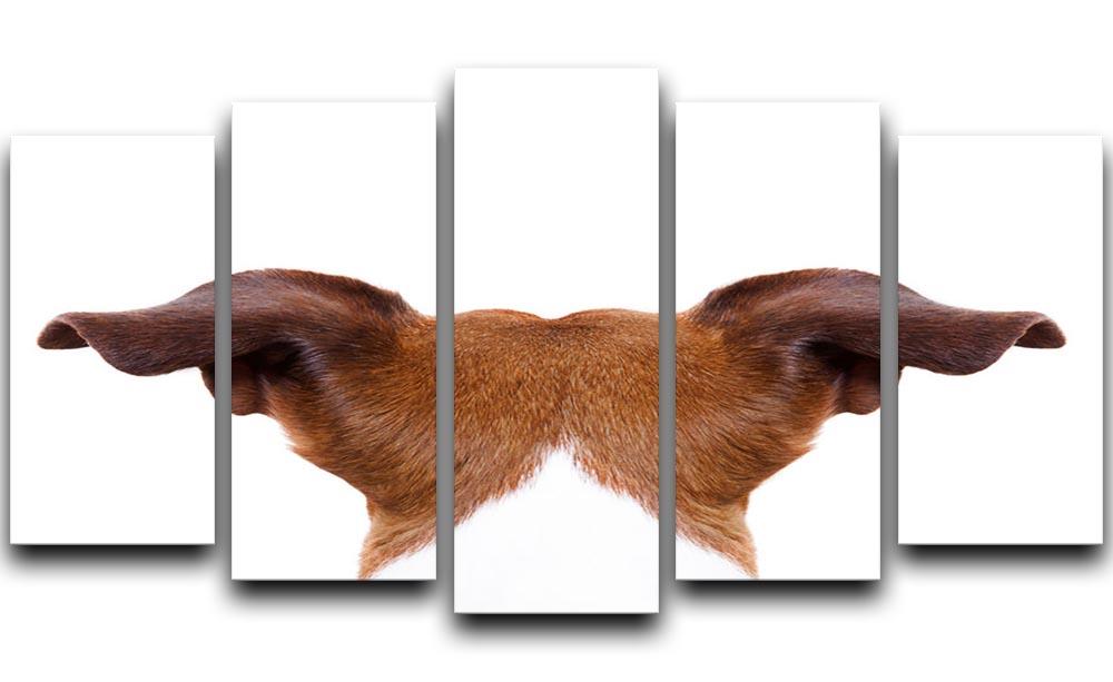 Jack russell dog looking and staring 5 Split Panel Canvas - Canvas Art Rocks - 1