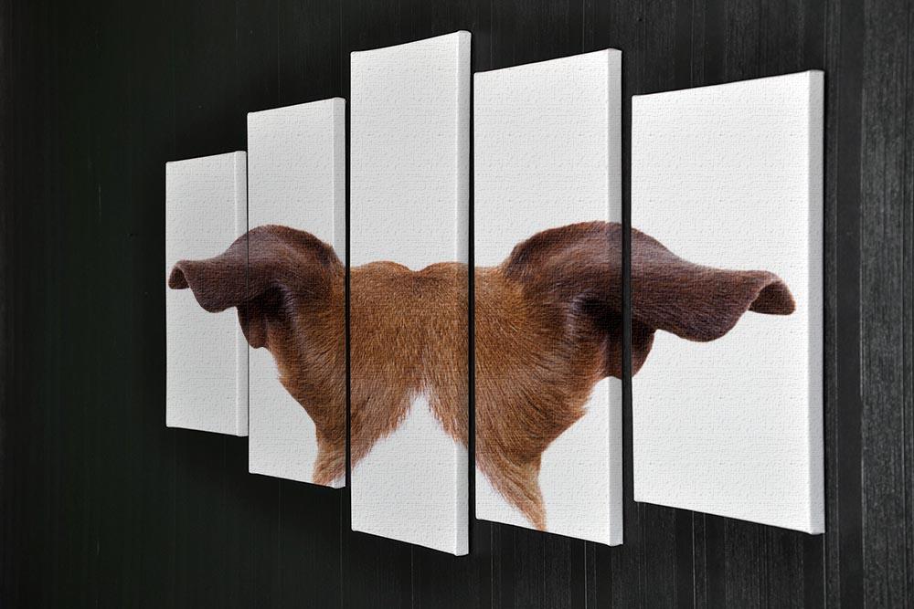 Jack russell dog looking and staring 5 Split Panel Canvas - Canvas Art Rocks - 2