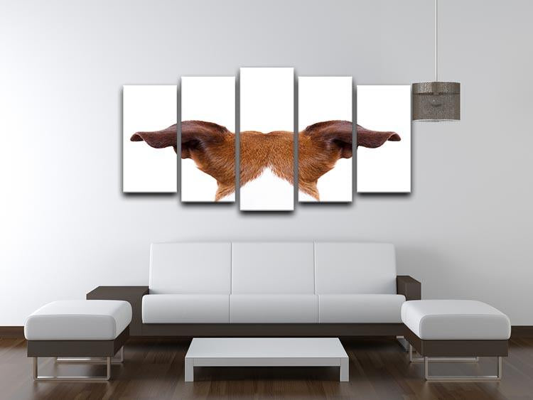 Jack russell dog looking and staring 5 Split Panel Canvas - Canvas Art Rocks - 3
