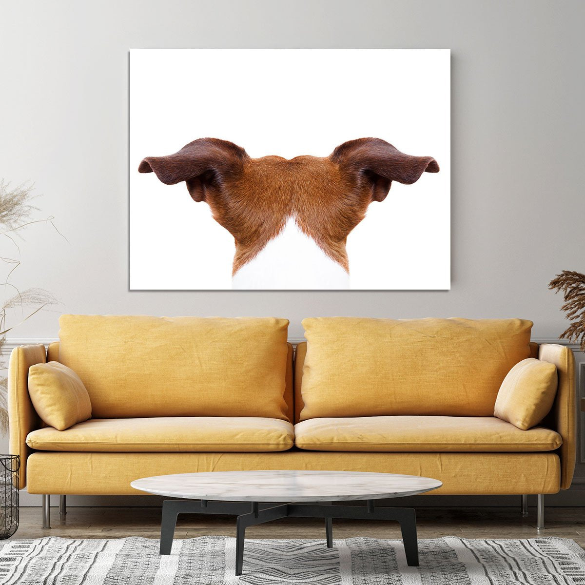 Jack russell dog looking and staring Canvas Print or Poster
