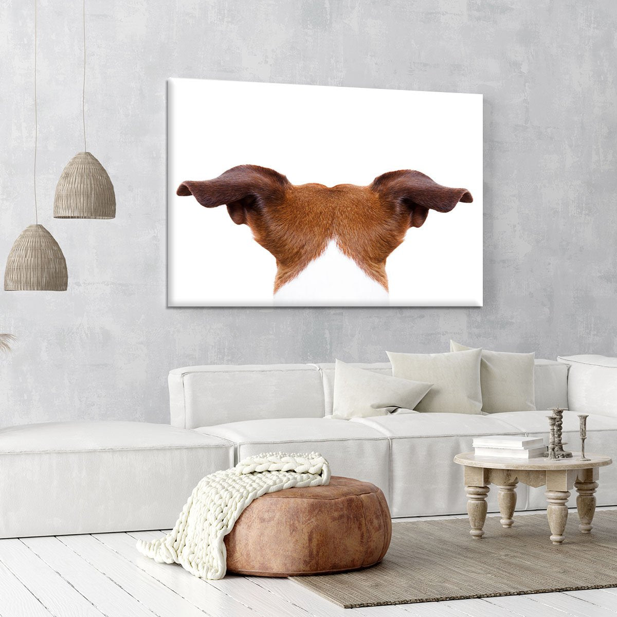 Jack russell dog looking and staring Canvas Print or Poster
