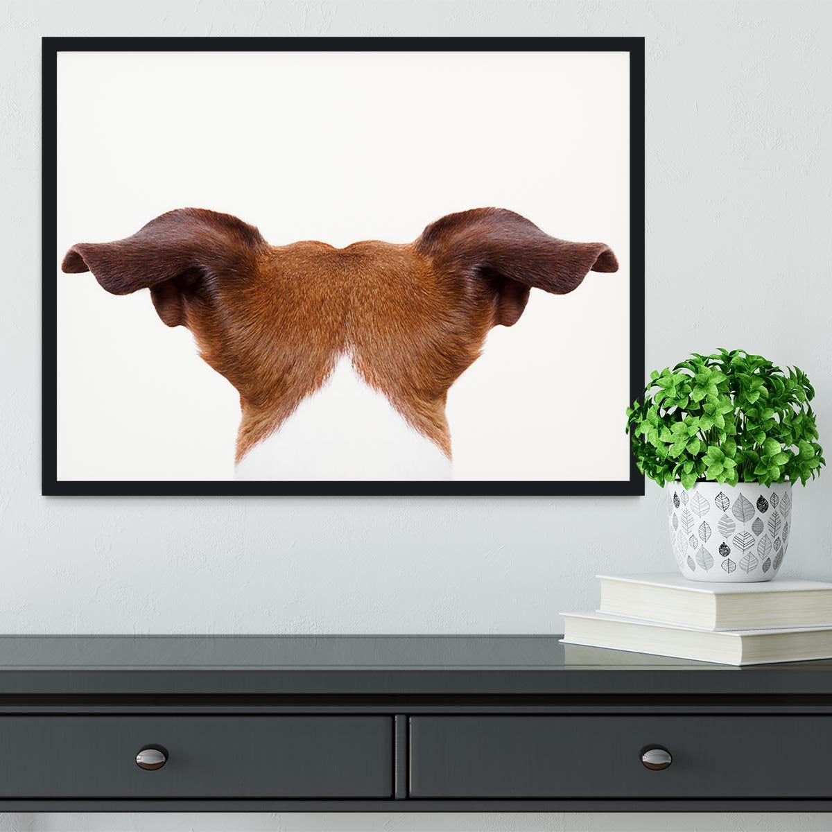 Jack russell dog looking and staring Framed Print - Canvas Art Rocks - 2