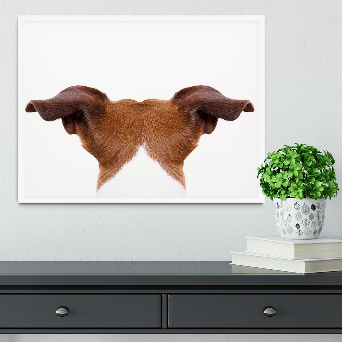 Jack russell dog looking and staring Framed Print - Canvas Art Rocks -6