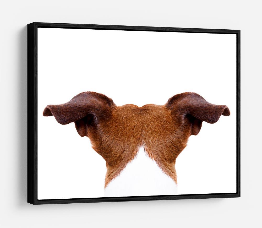 Jack russell dog looking and staring HD Metal Print - Canvas Art Rocks - 6