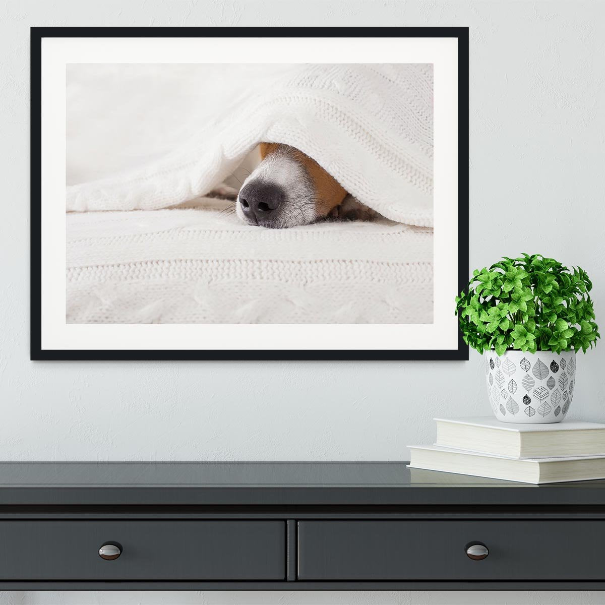 Jack russell dog sleeping under the blanket Framed Print - Canvas Art Rocks - 1