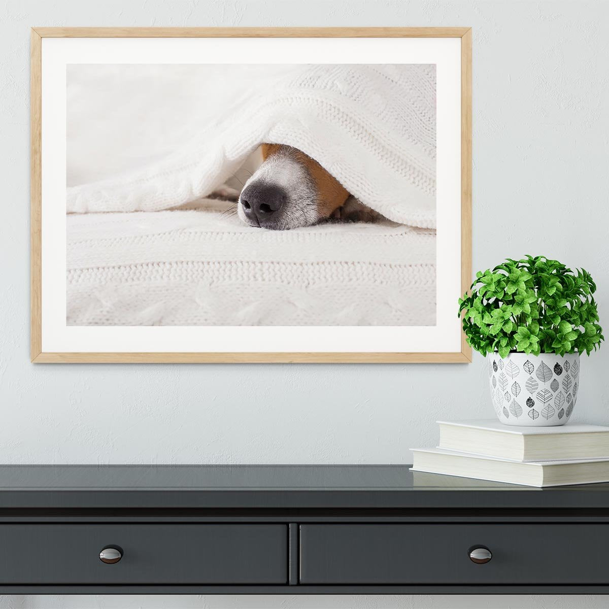 Jack russell dog sleeping under the blanket Framed Print - Canvas Art Rocks - 3
