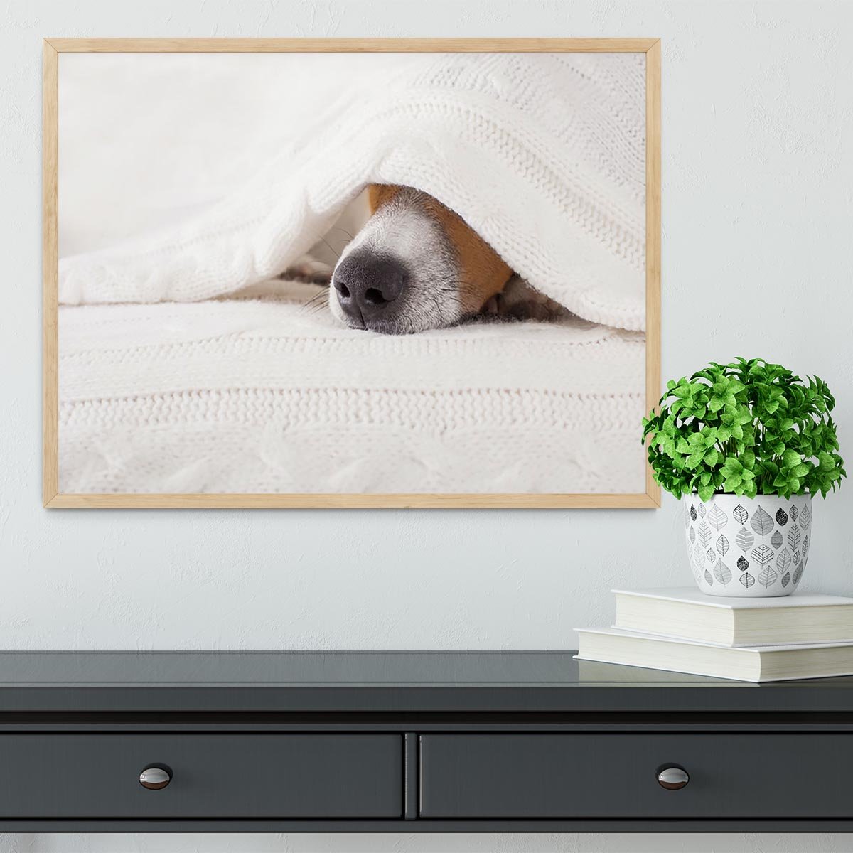 Jack russell dog sleeping under the blanket Framed Print - Canvas Art Rocks - 4