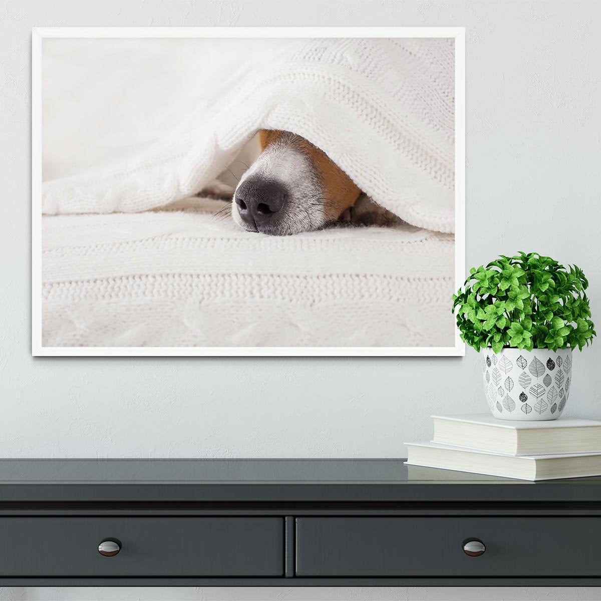 Jack russell dog sleeping under the blanket Framed Print - Canvas Art Rocks -6