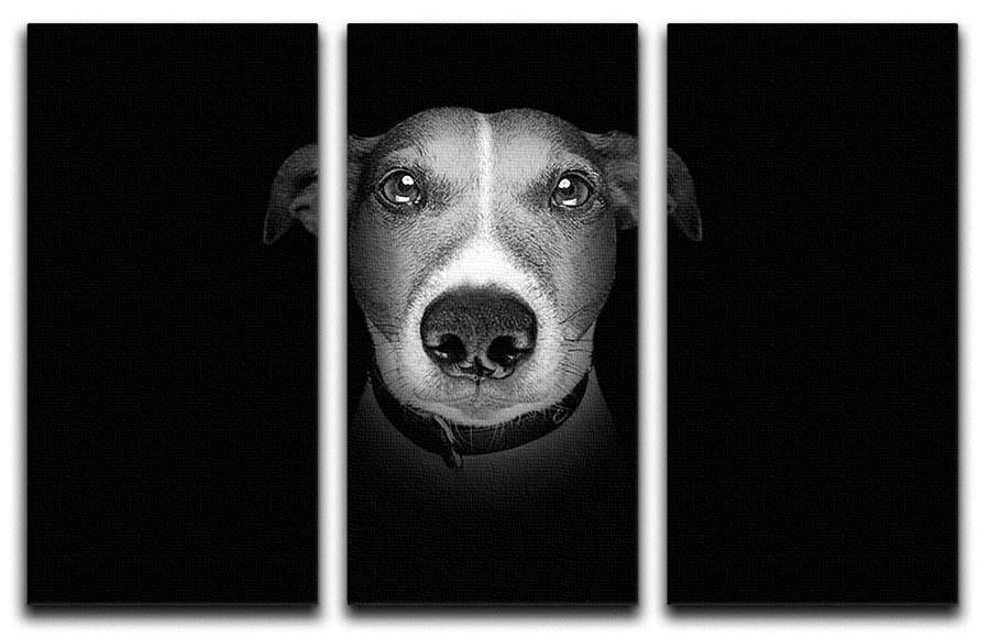 Jack russell terrier dog isolated on black dark background 3 Split Panel Canvas Print - Canvas Art Rocks - 1