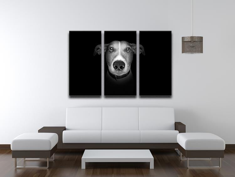 Jack russell terrier dog isolated on black dark background 3 Split Panel Canvas Print - Canvas Art Rocks - 3