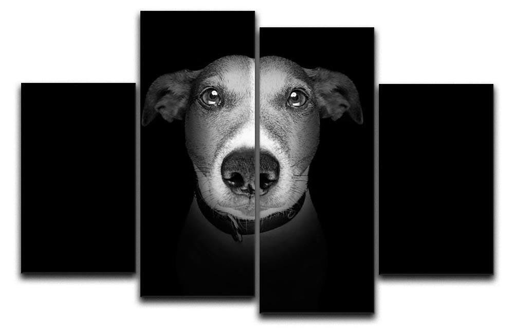 Jack russell terrier dog isolated on black dark background 4 Split Panel Canvas - Canvas Art Rocks - 1