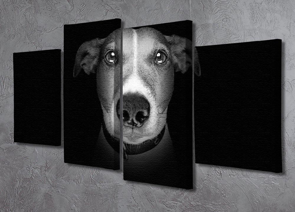 Jack russell terrier dog isolated on black dark background 4 Split Panel Canvas - Canvas Art Rocks - 2