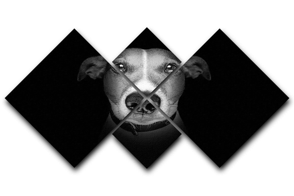 Jack russell terrier dog isolated on black dark background 4 Square Multi Panel Canvas - Canvas Art Rocks - 1