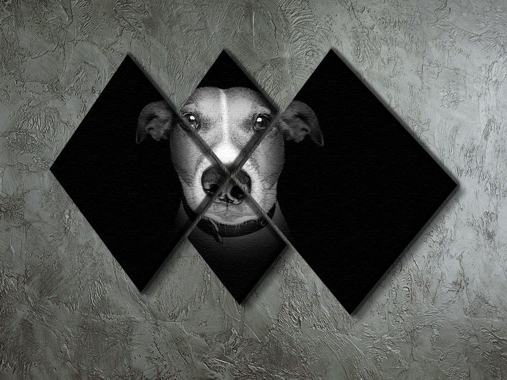 Jack russell terrier dog isolated on black dark background 4 Square Multi Panel Canvas - Canvas Art Rocks - 2