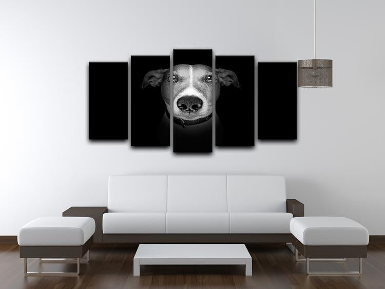 Jack russell terrier dog isolated on black dark background 5 Split Panel Canvas - Canvas Art Rocks - 3
