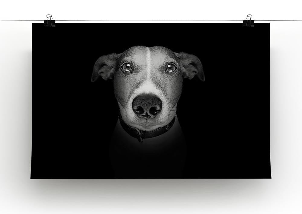Jack russell terrier dog isolated on black dark background Canvas Print or Poster - Canvas Art Rocks - 2