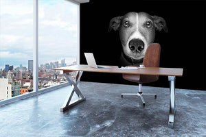 Jack russell terrier dog isolated on black dark background Wall Mural Wallpaper - Canvas Art Rocks - 3