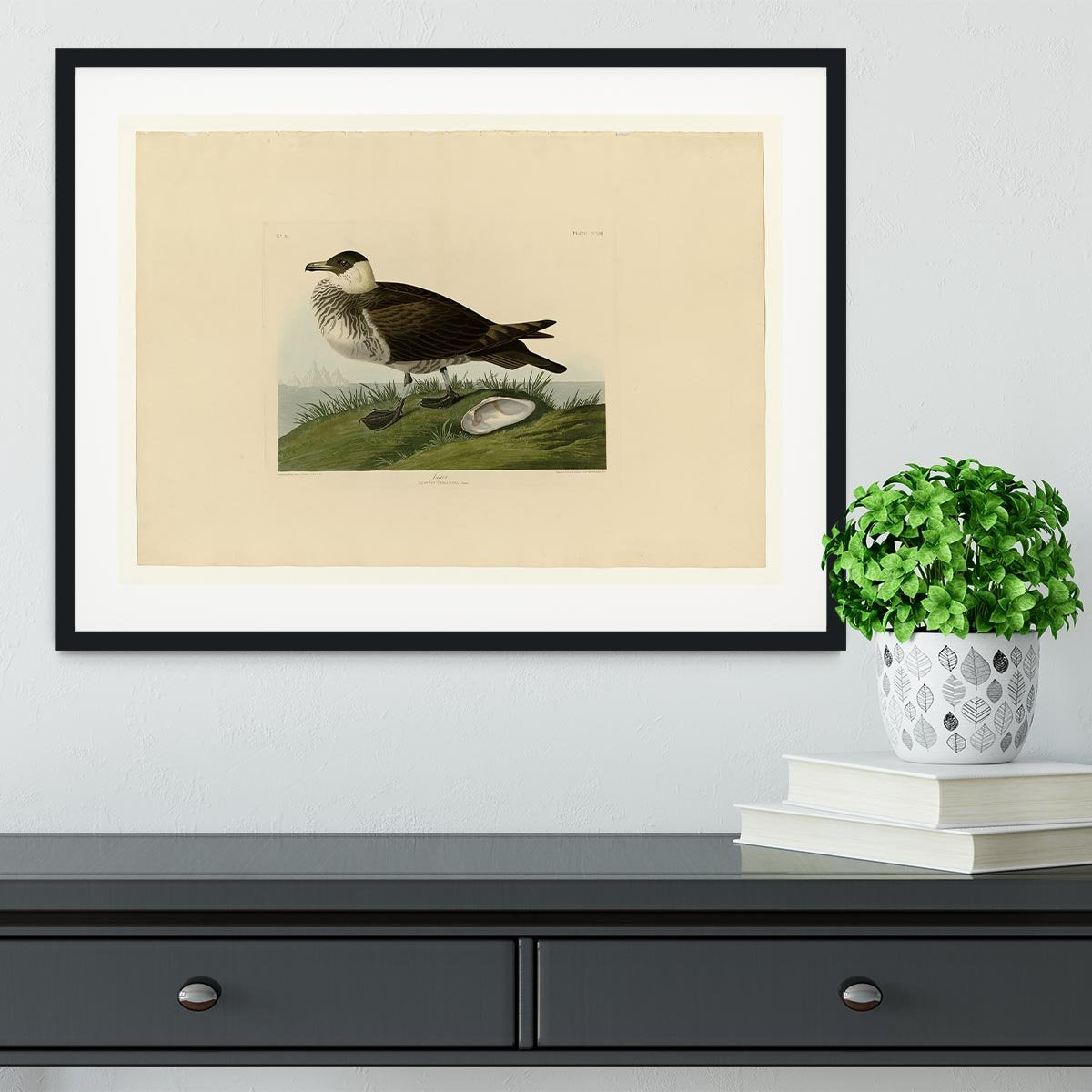 Jager by Audubon Framed Print - Canvas Art Rocks - 1