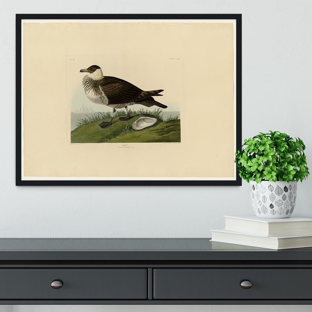 Jager by Audubon Framed Print - Canvas Art Rocks - 2