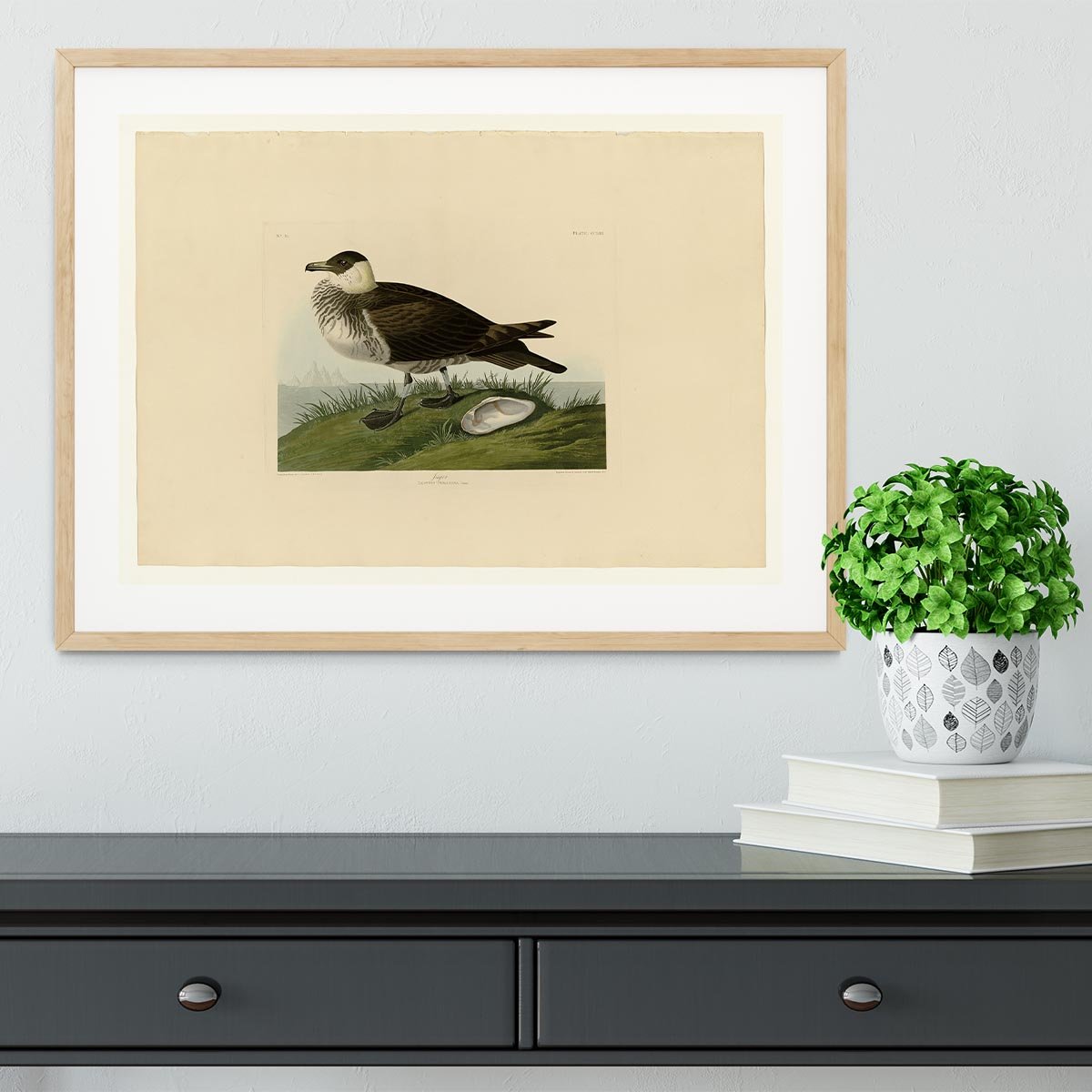 Jager by Audubon Framed Print - Canvas Art Rocks - 3