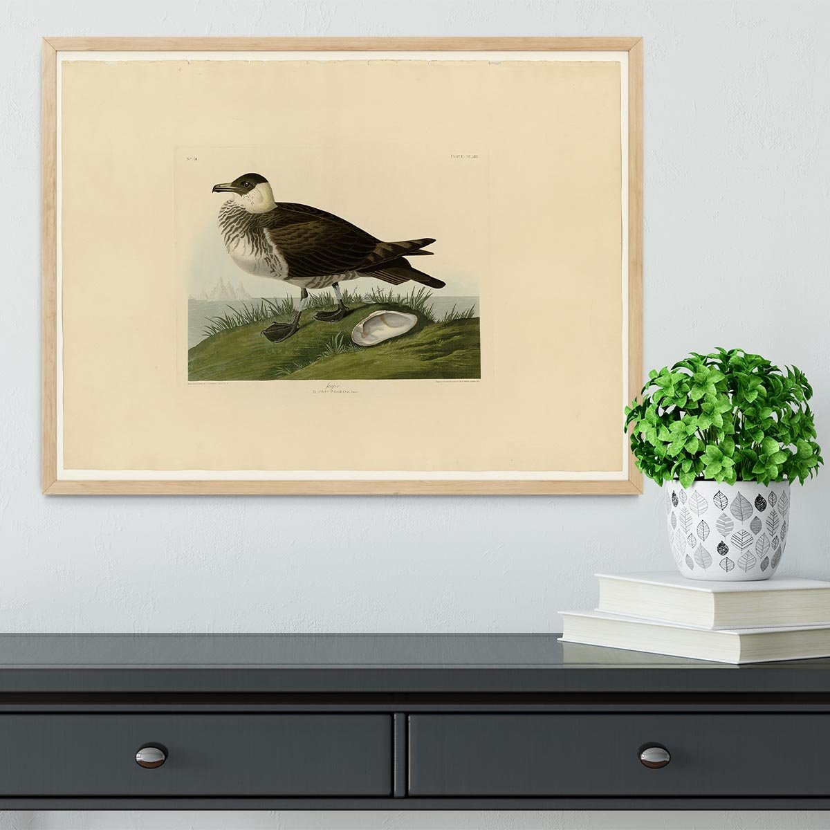 Jager by Audubon Framed Print - Canvas Art Rocks - 4