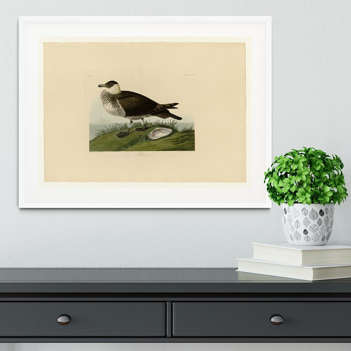 Jager by Audubon Framed Print - Canvas Art Rocks - 5
