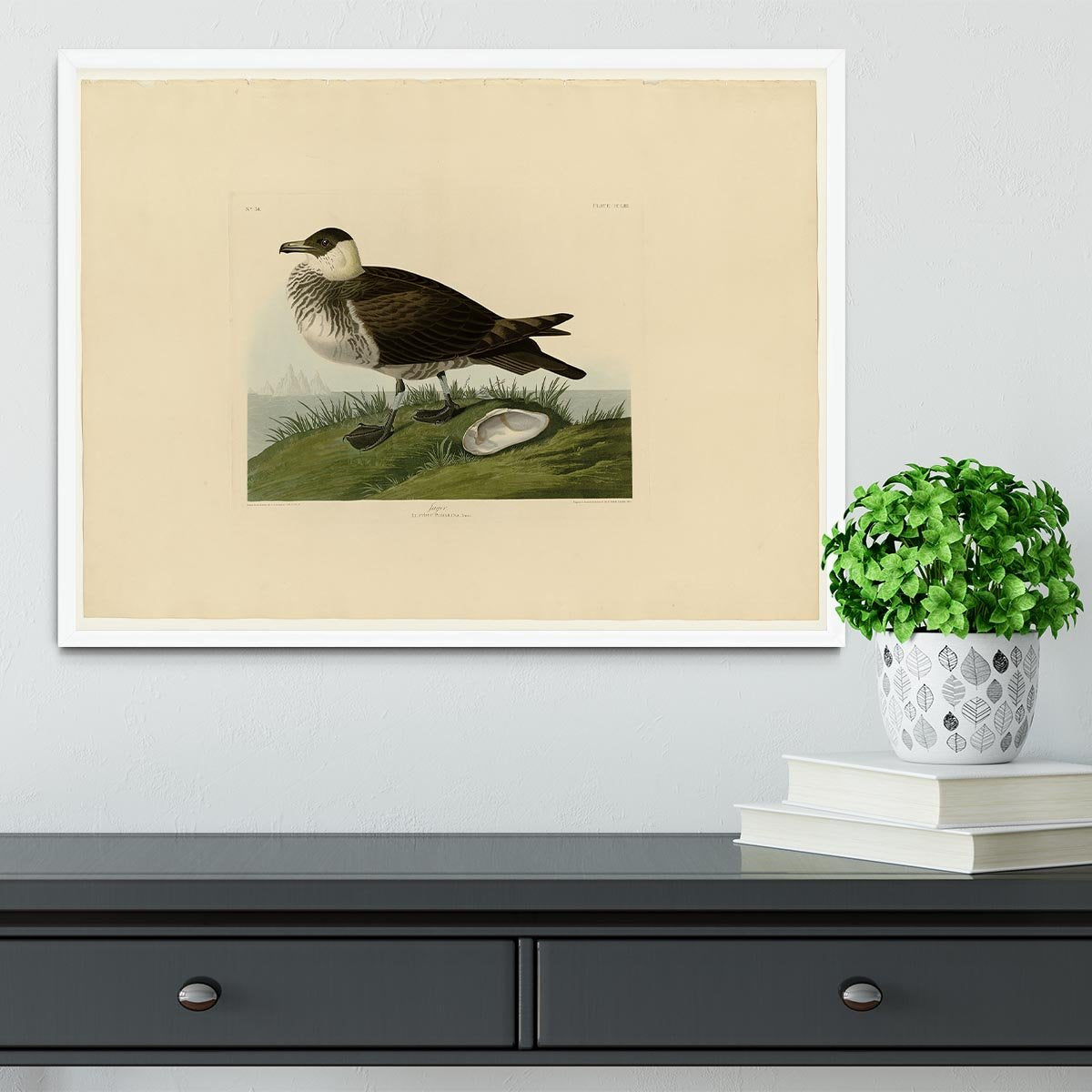 Jager by Audubon Framed Print - Canvas Art Rocks -6