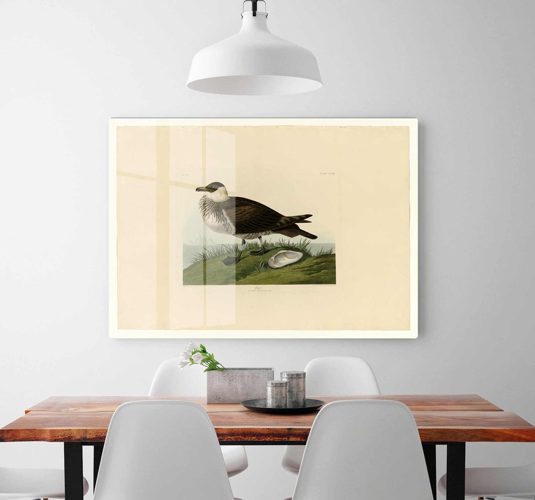 Jager by Audubon HD Metal Print - Canvas Art Rocks - 2