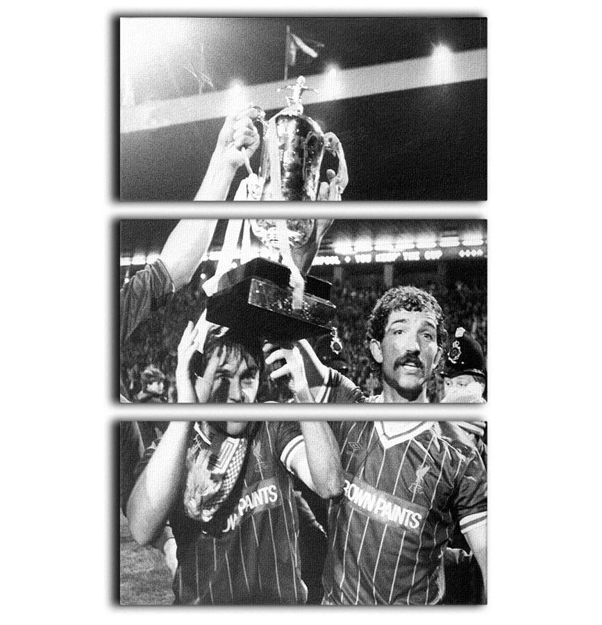 Kenny Dalglish and Graeme Souness with the Milk Cup trophy 3 Split Panel Canvas Print - Canvas Art Rocks - 1