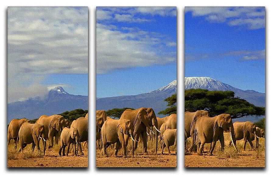 Kilimanjaro And Elephants 3 Split Panel Canvas Print - Canvas Art Rocks - 1