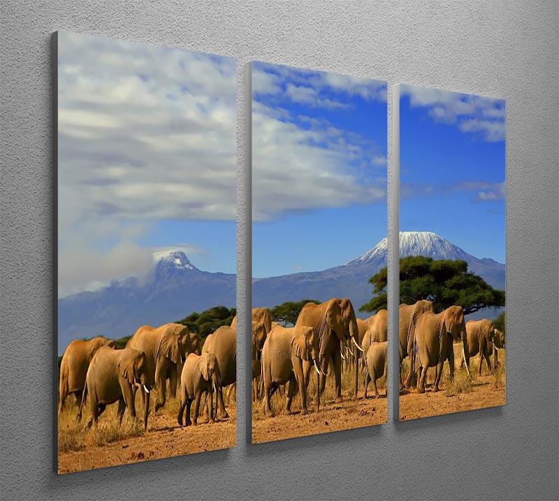Kilimanjaro And Elephants 3 Split Panel Canvas Print - Canvas Art Rocks - 2