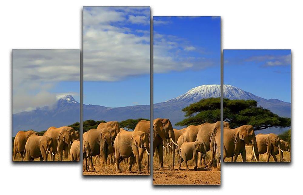 Kilimanjaro And Elephants 4 Split Panel Canvas - Canvas Art Rocks - 1