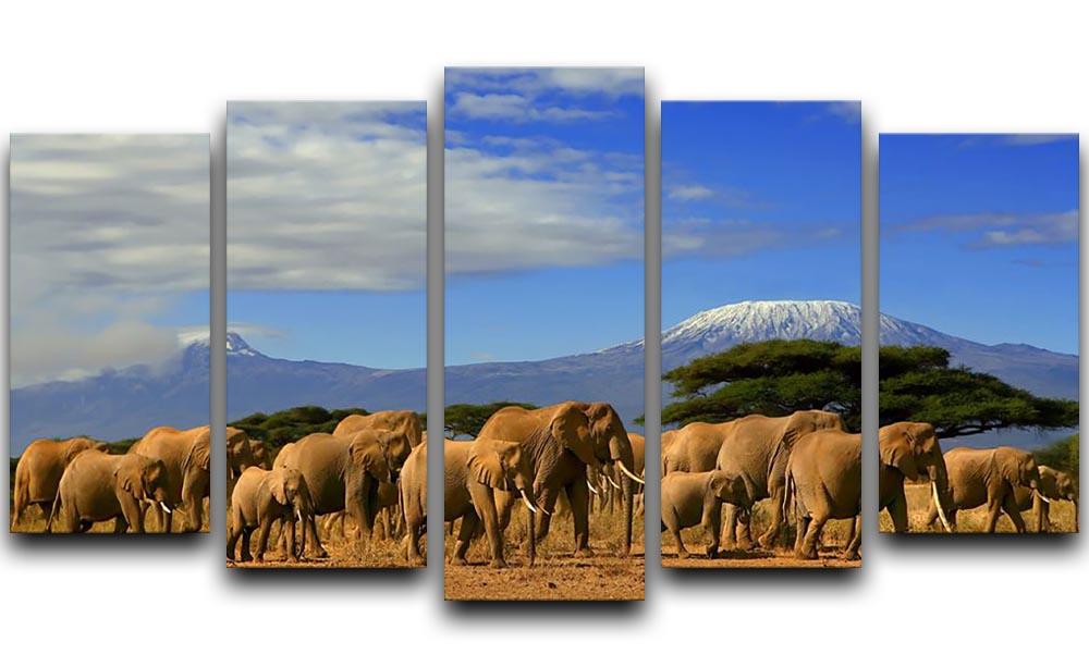 Kilimanjaro And Elephants 5 Split Panel Canvas - Canvas Art Rocks - 1