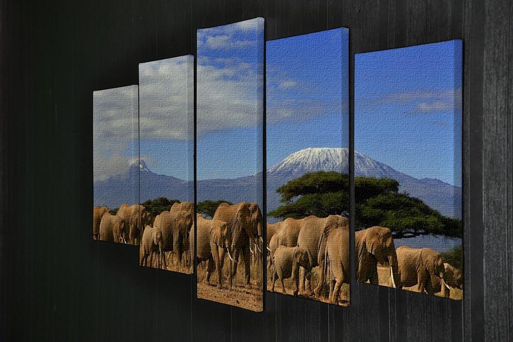Kilimanjaro And Elephants 5 Split Panel Canvas - Canvas Art Rocks - 2