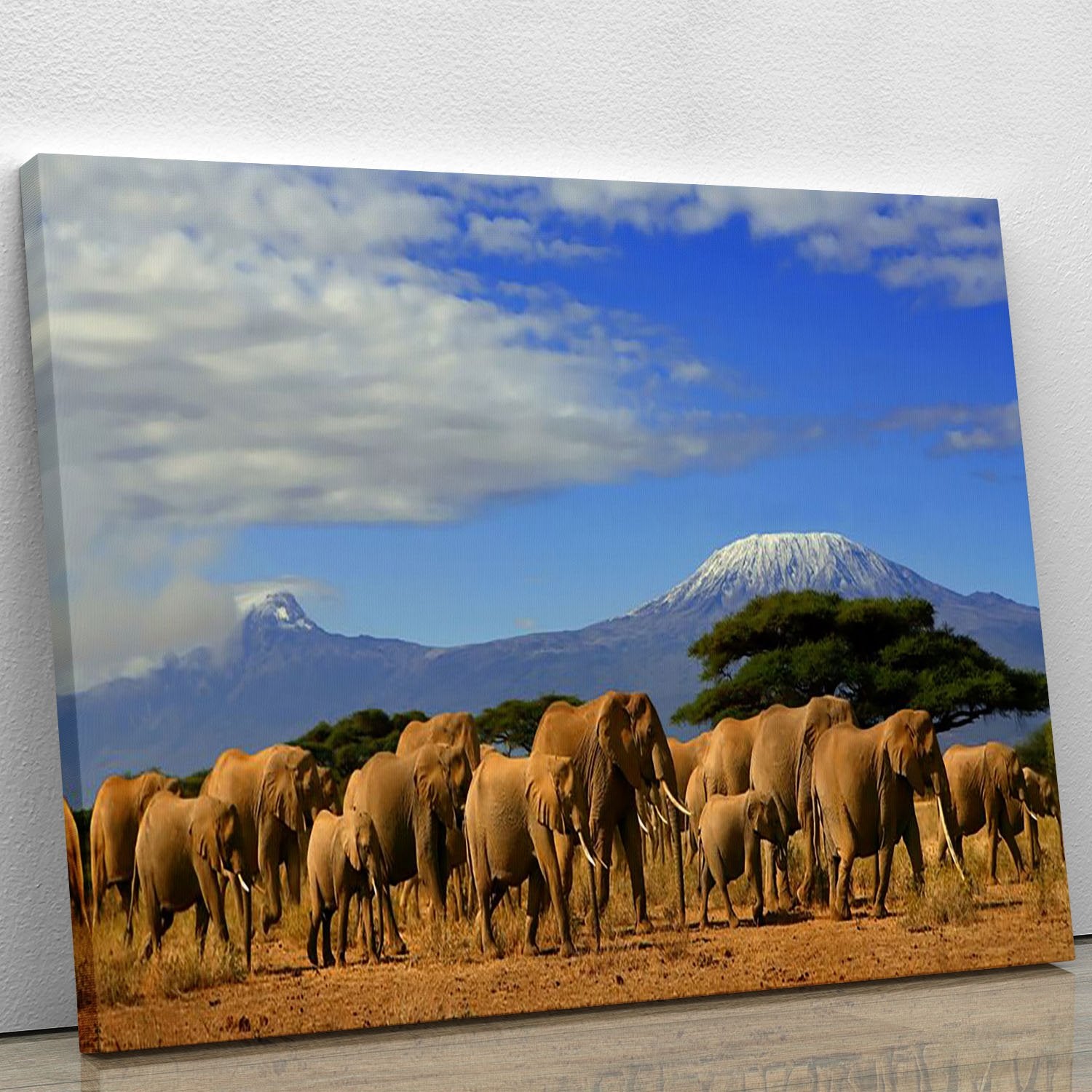 Kilimanjaro And Elephants Canvas Print or Poster