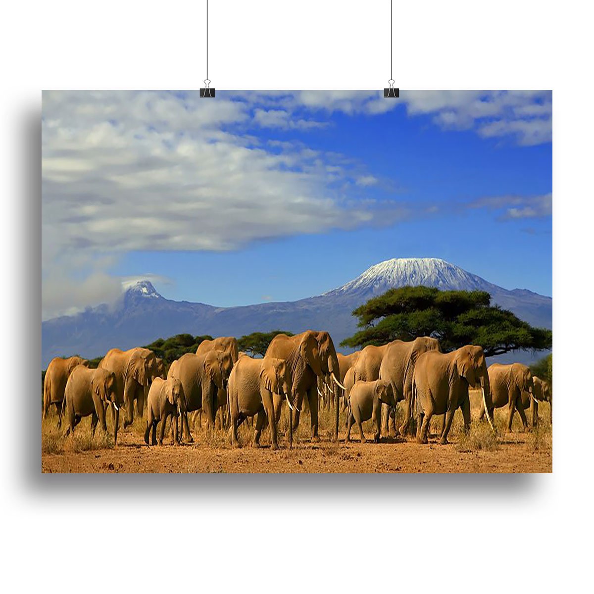 Kilimanjaro And Elephants Canvas Print or Poster