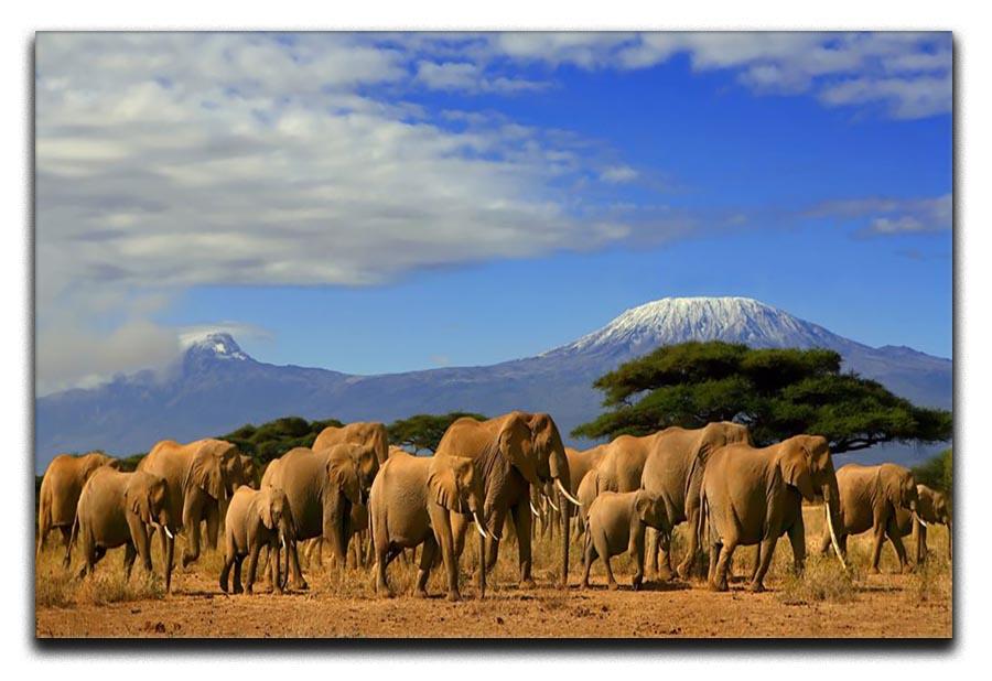 Kilimanjaro And Elephants Canvas Print or Poster - Canvas Art Rocks - 1