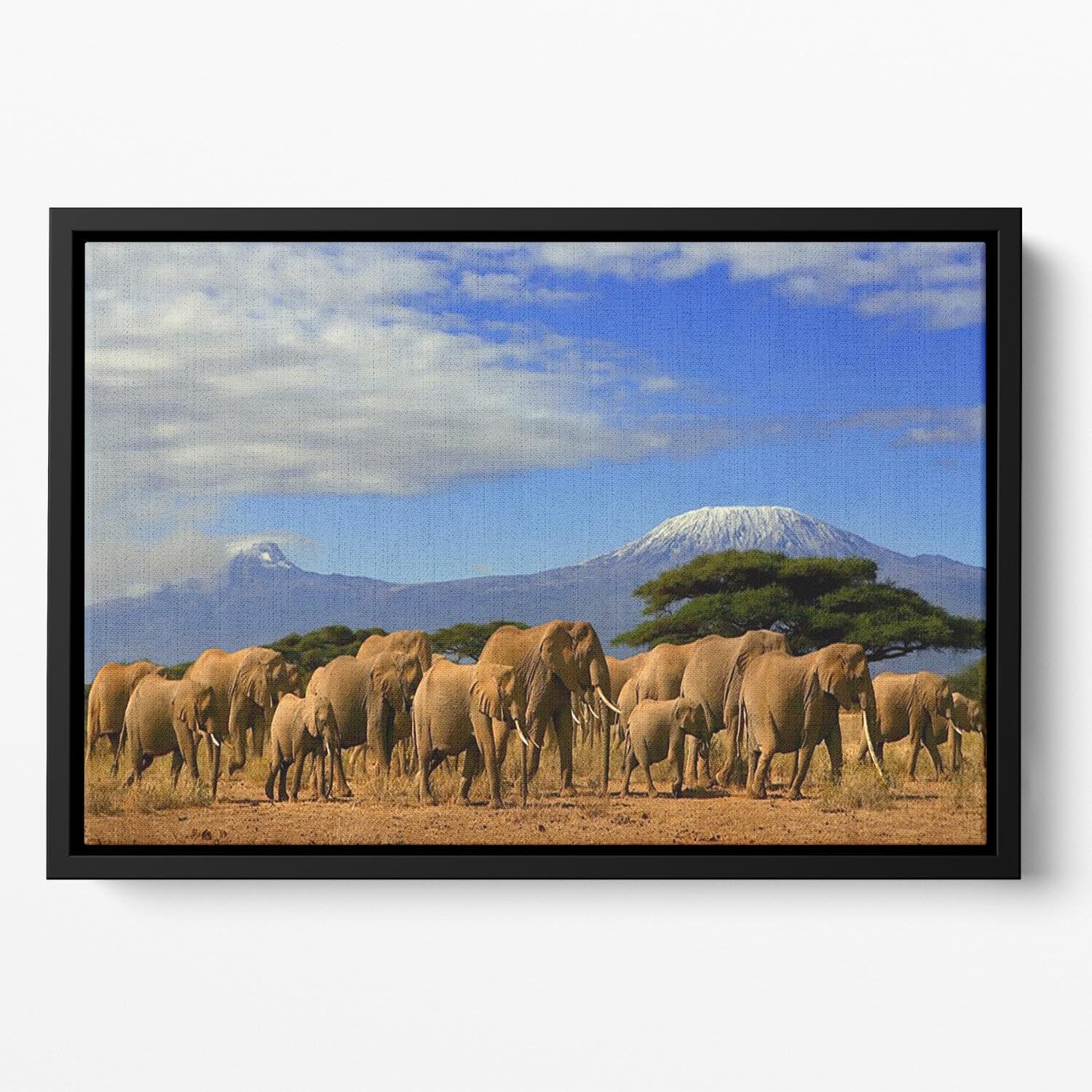 Kilimanjaro And Elephants Floating Framed Canvas - Canvas Art Rocks - 2