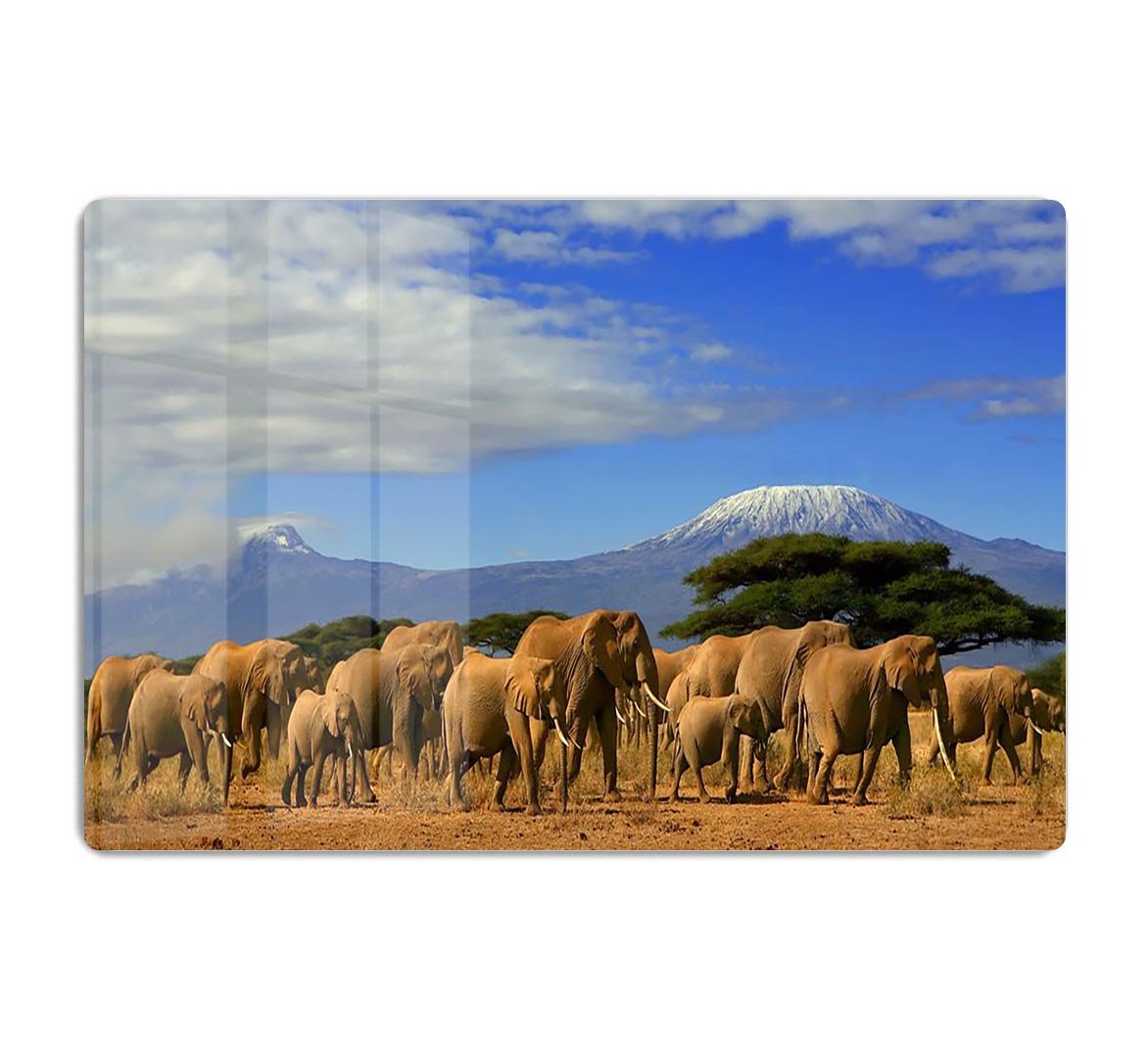 Kilimanjaro And Elephants HD Metal Print - Canvas Art Rocks - 1