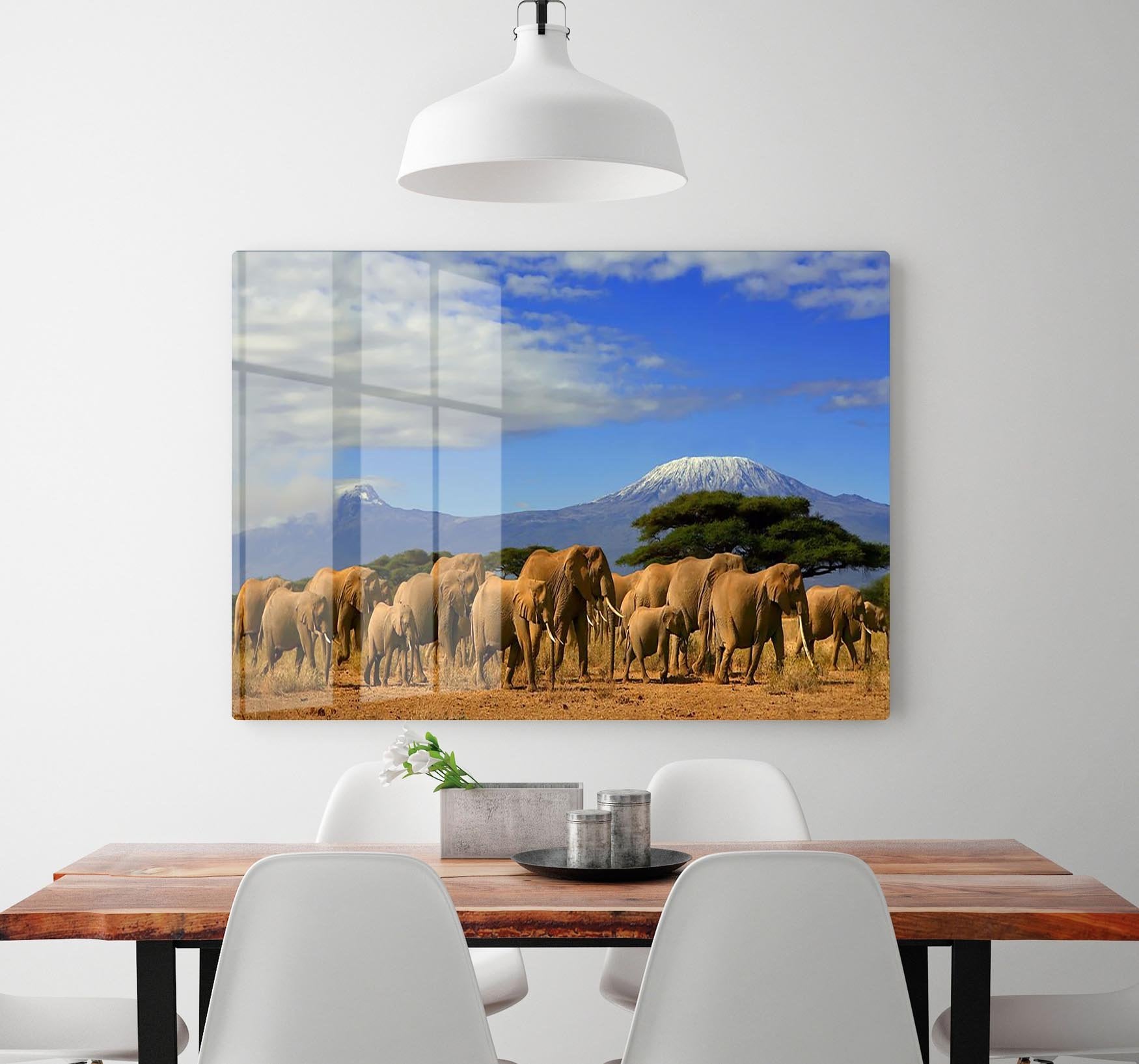 Kilimanjaro And Elephants HD Metal Print - Canvas Art Rocks - 2