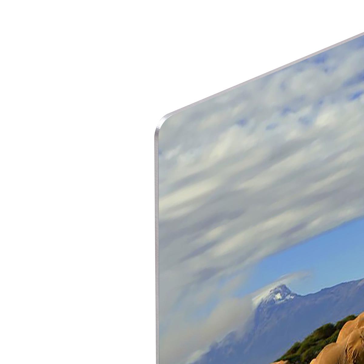 Kilimanjaro And Elephants HD Metal Print - Canvas Art Rocks - 4