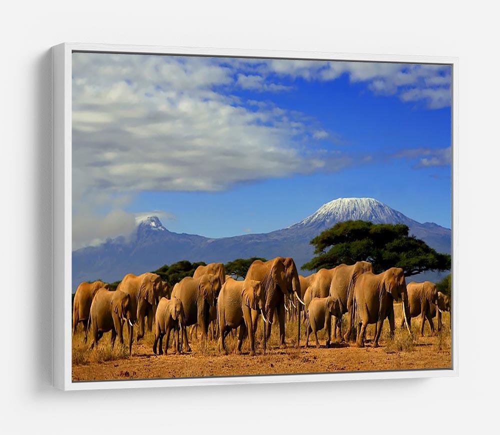 Kilimanjaro And Elephants HD Metal Print - Canvas Art Rocks - 7