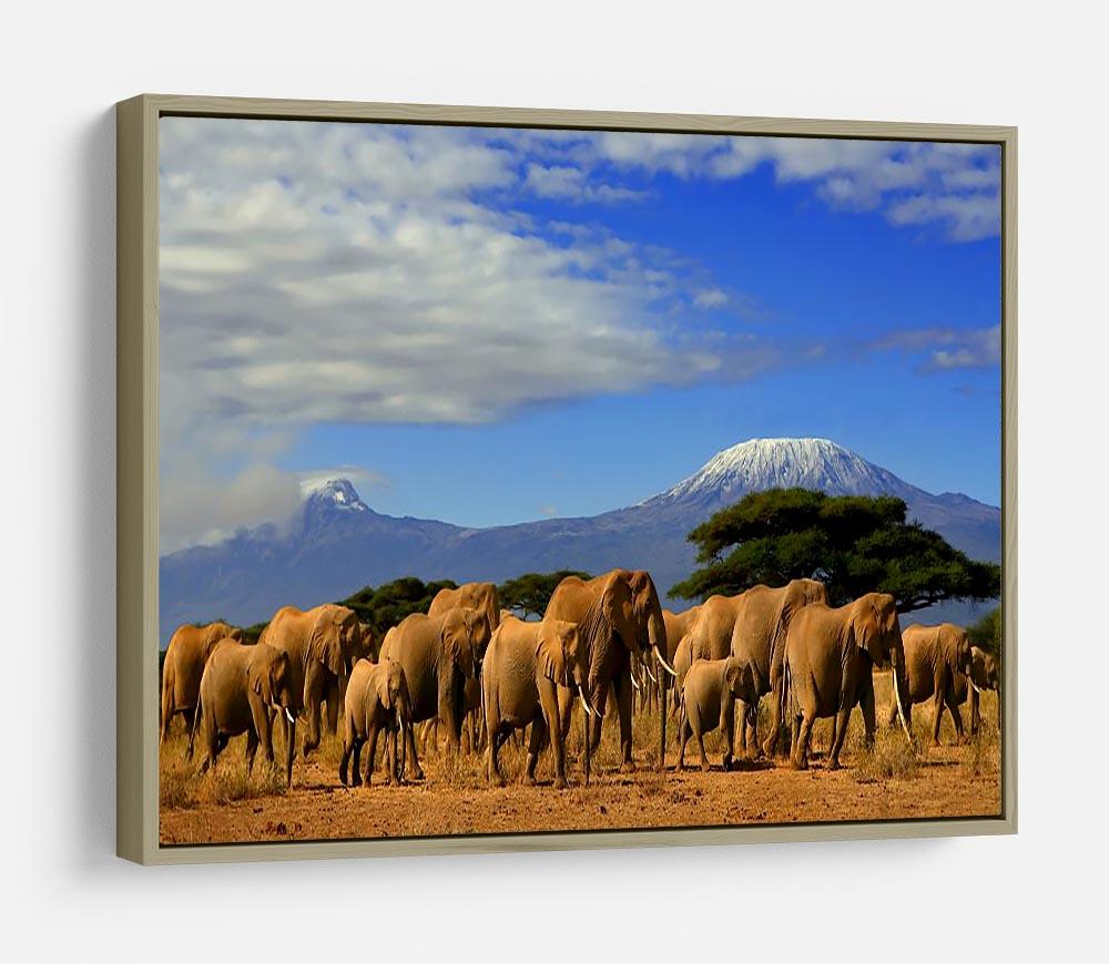 Kilimanjaro And Elephants HD Metal Print - Canvas Art Rocks - 8