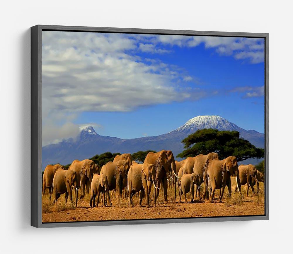 Kilimanjaro And Elephants HD Metal Print - Canvas Art Rocks - 9