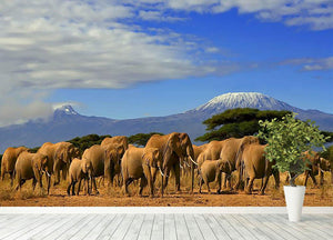 Kilimanjaro And Elephants Wall Mural Wallpaper - Canvas Art Rocks - 4