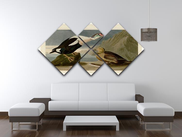 King Duck by Audubon 4 Square Multi Panel Canvas - Canvas Art Rocks - 3