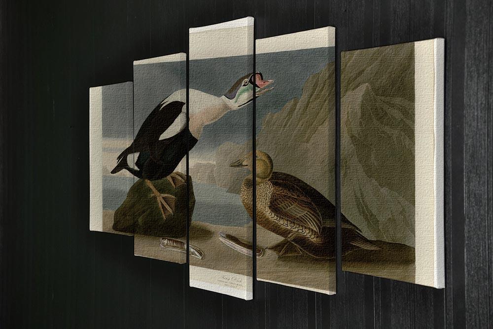 King Duck by Audubon 5 Split Panel Canvas - Canvas Art Rocks - 2