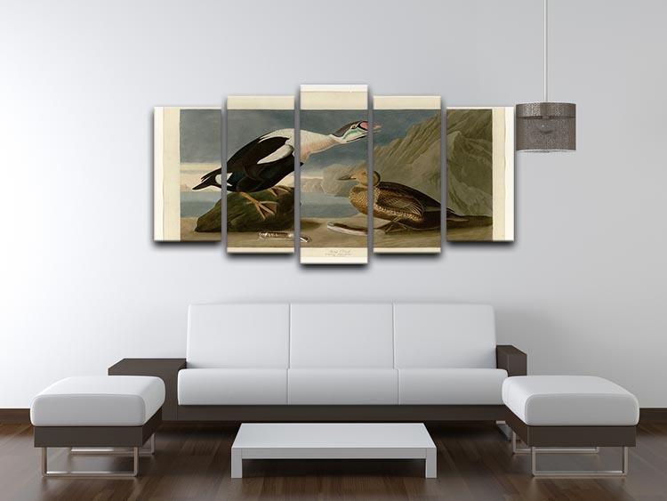 King Duck by Audubon 5 Split Panel Canvas - Canvas Art Rocks - 3